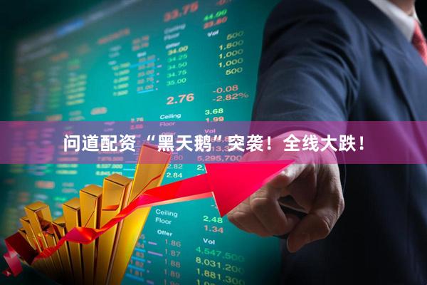 问道配资 “黑天鹅”突袭！全线大跌！