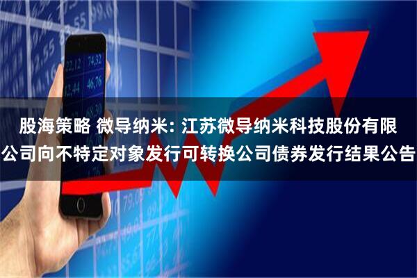 股海策略 微导纳米: 江苏微导纳米科技股份有限公司向不特定对象发行可转换公司债券发行结果公告